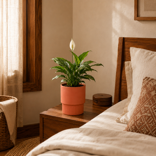 Bedroom Corner