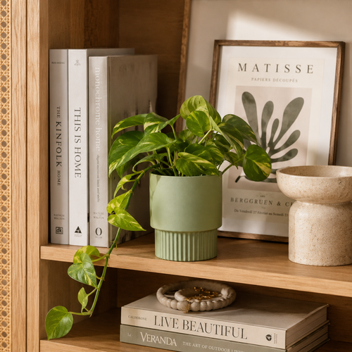 Bookshelf