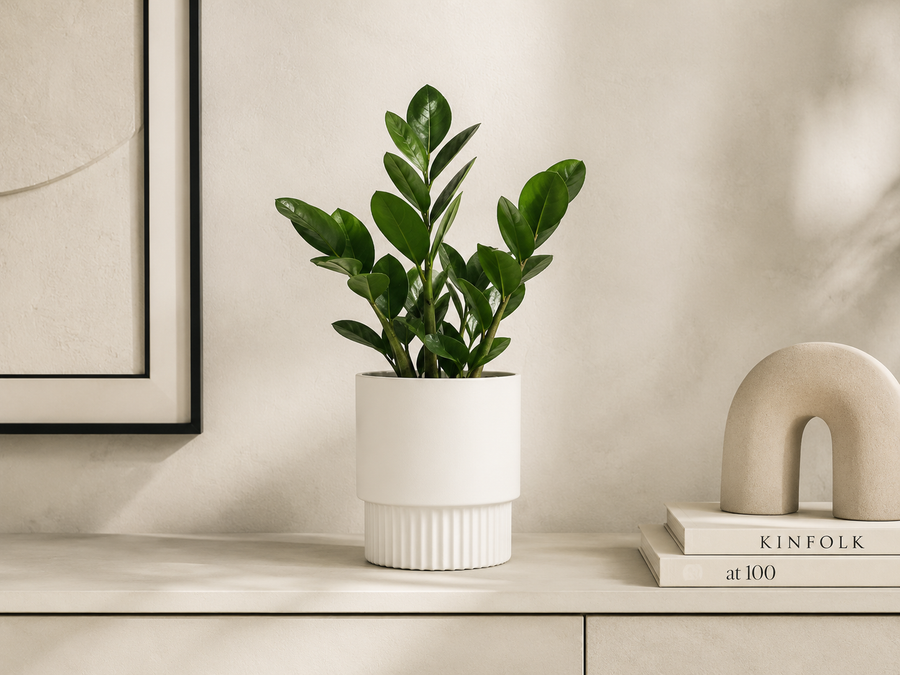 Modern Minimal