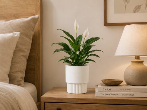 Bedside Table