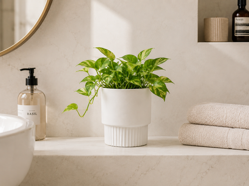 Bathroom Shelf