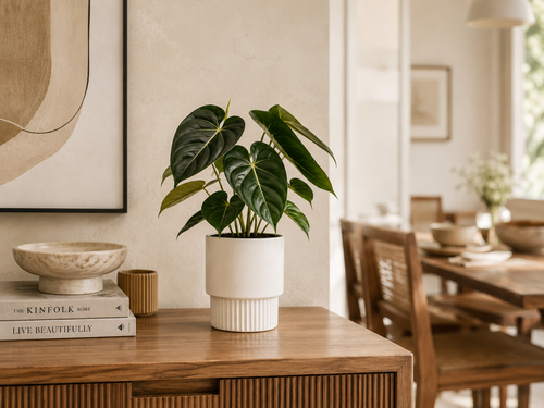 Dining Sideboard