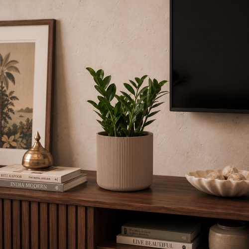 TV Unit