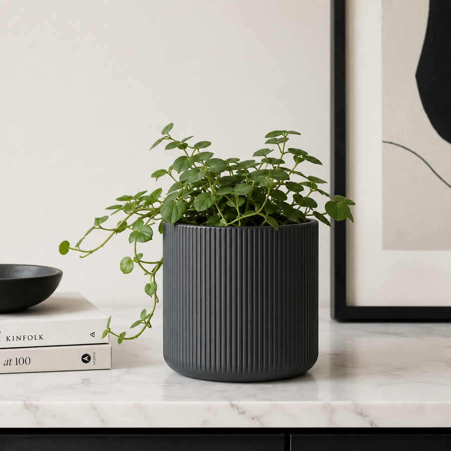 Industrial Modern