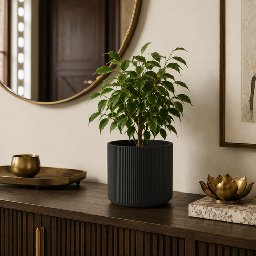 Entryway Console