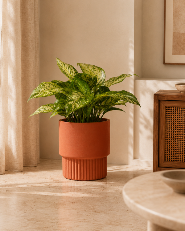 Modern Pedestal