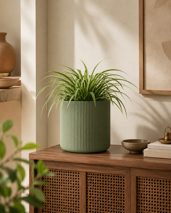 Fluted Cylinder