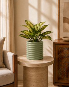 Sage Green