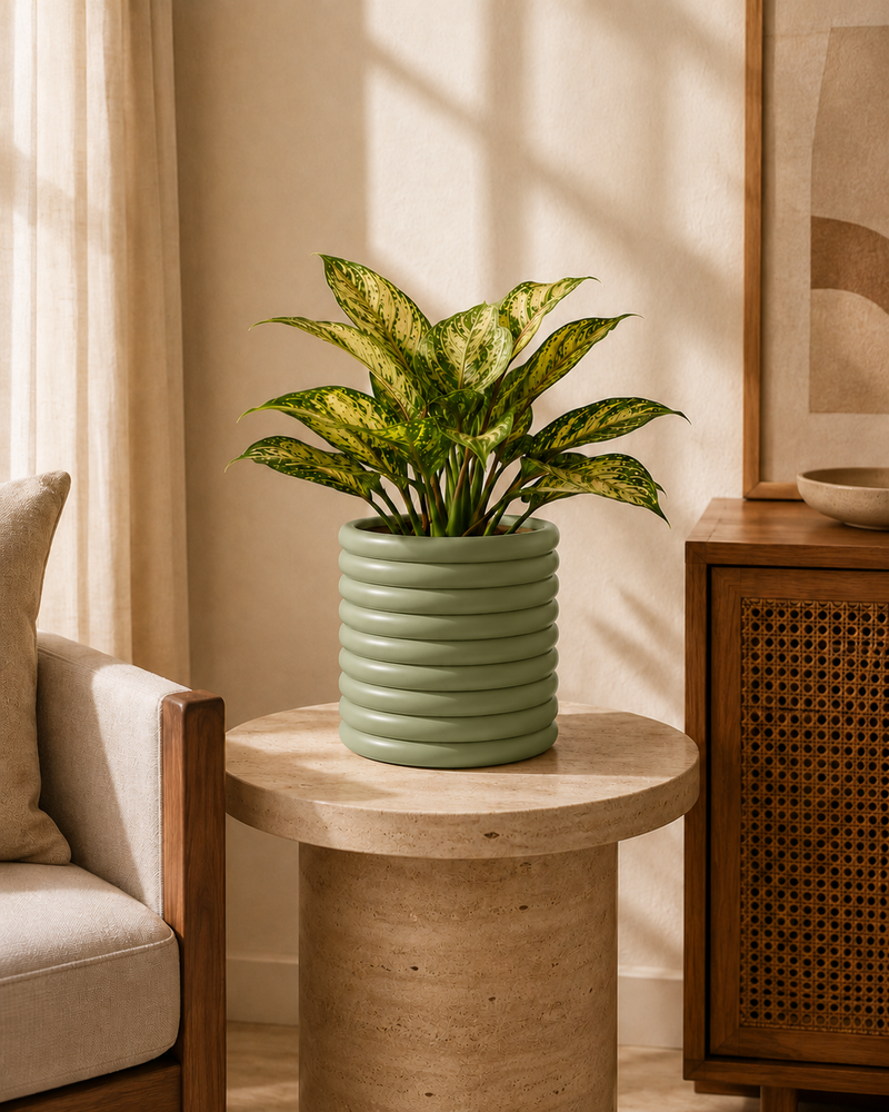Sage Green