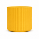 Mustard Yellow