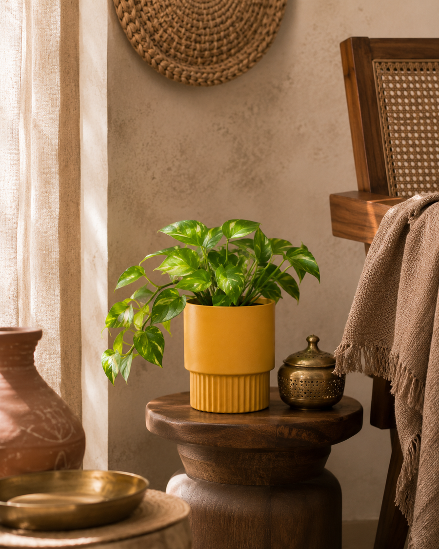 Modern Pedestal Pot