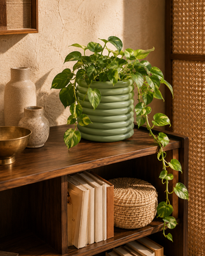 Bookshelves