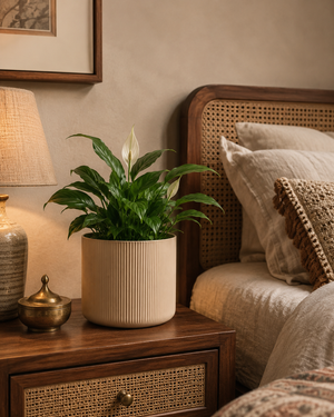 Bedside Tables