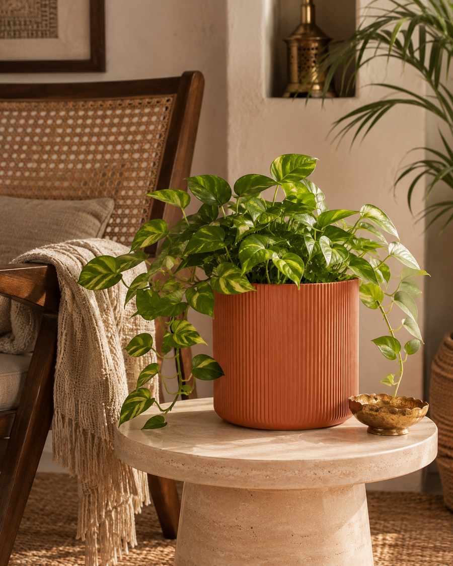 Fluted Cylinder Pot
