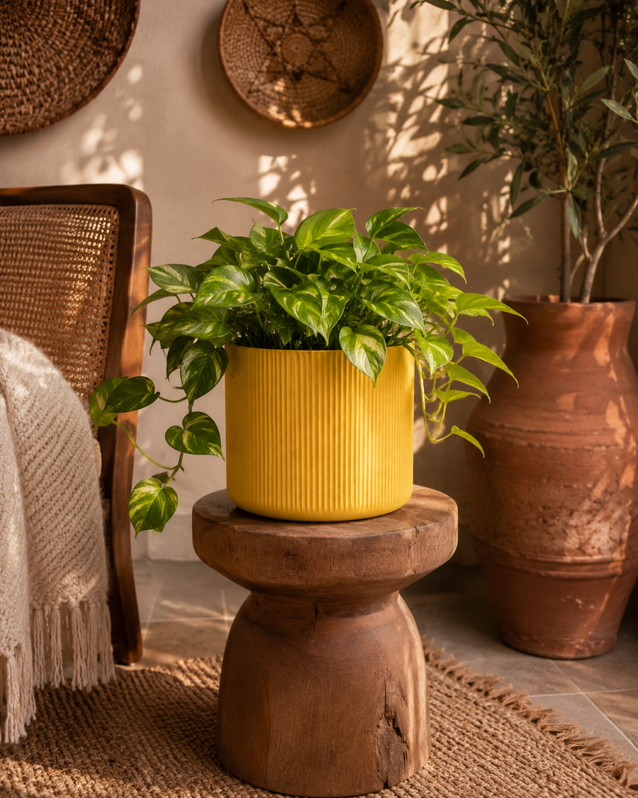 Fluted Cylinder Pot