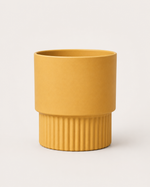 Mustard Yellow