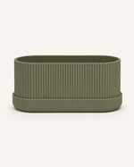 Olive Green