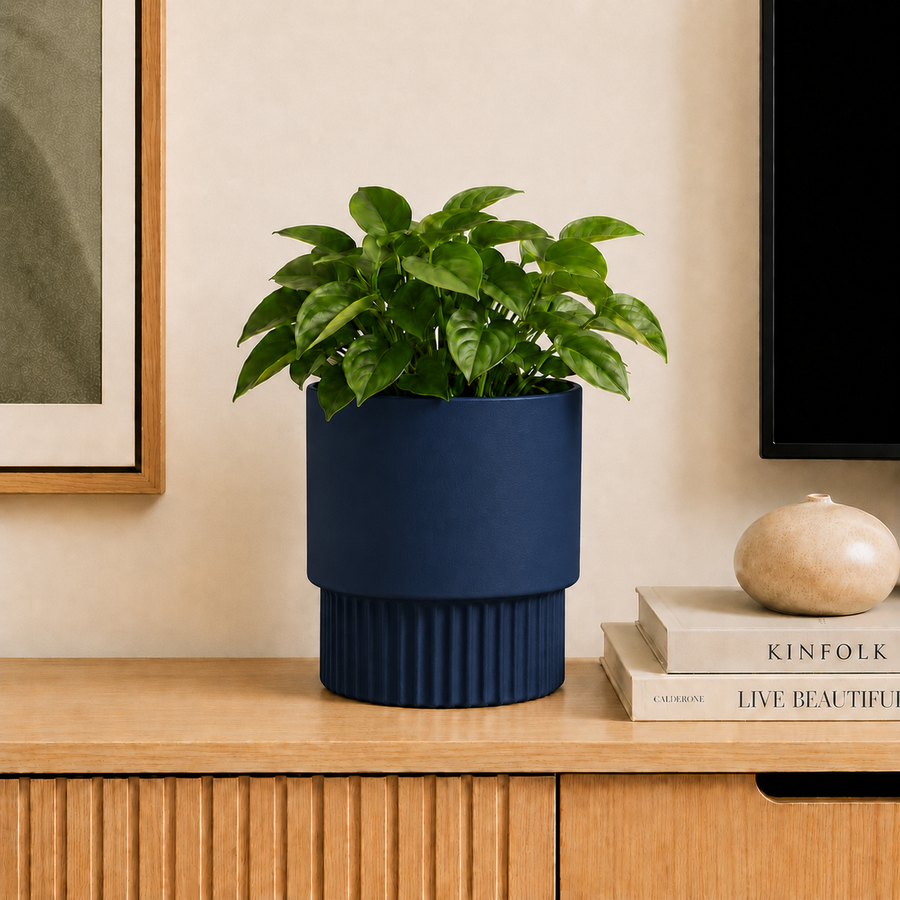Modern Pedestal Pot