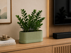 Sage Green