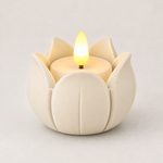 Warm Ivory
