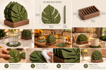 Monstera Coaster Set with Holder