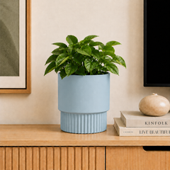 Dusty Blue
