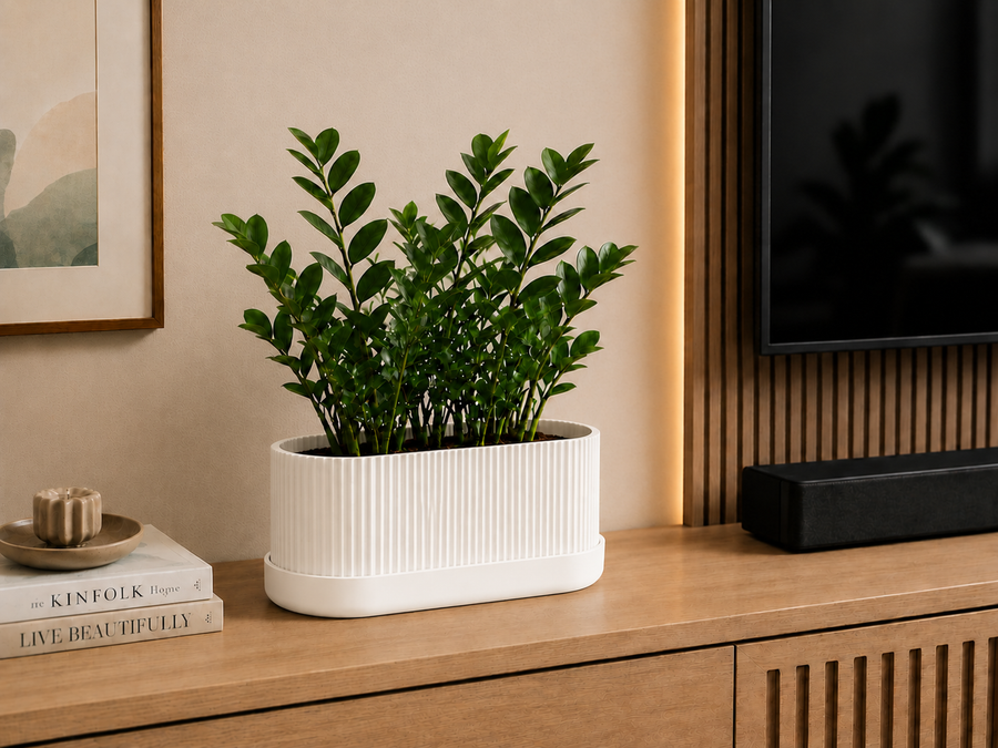 Fluted Capsule Pot