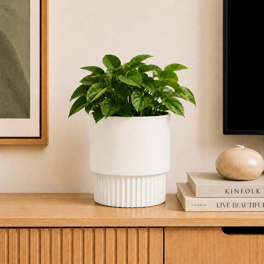 Modern Pedestal Pot