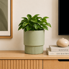 Sage Green