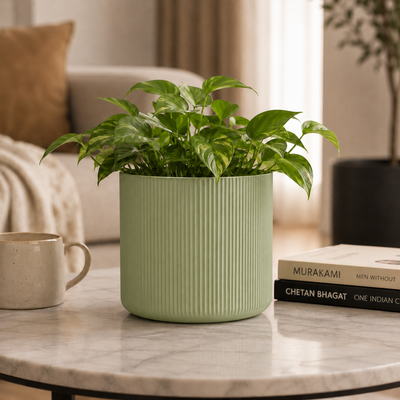 Sage Green