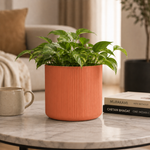 Terracotta